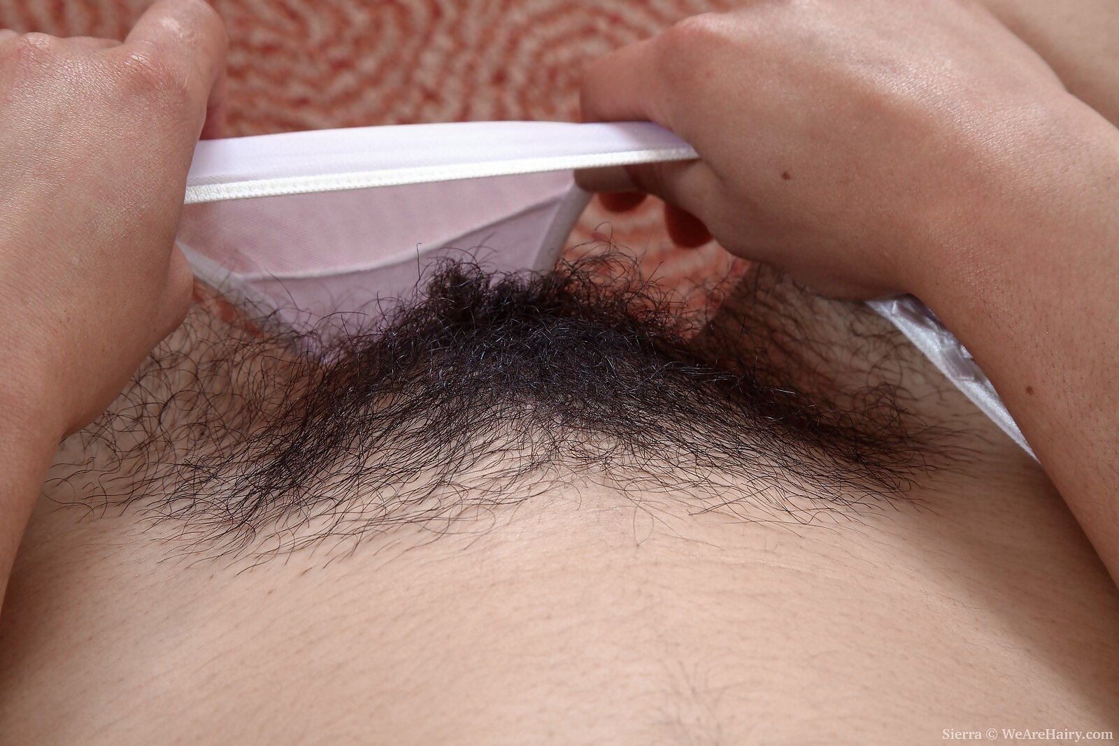 Sierra from We Are Hairy - Picture #4