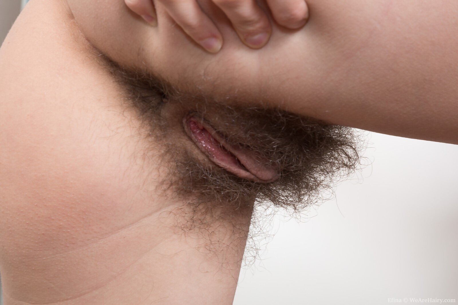Efina from We Are Hairy - Picture #5