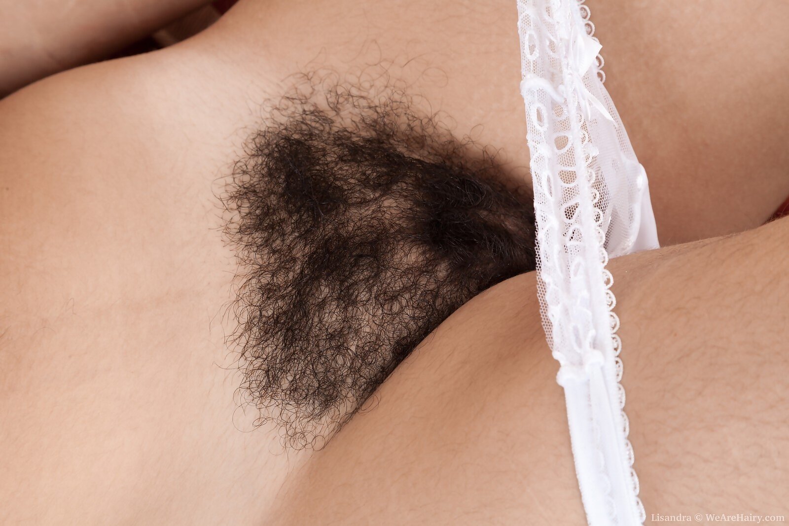 Lisandra from We Are Hairy - Picture #7