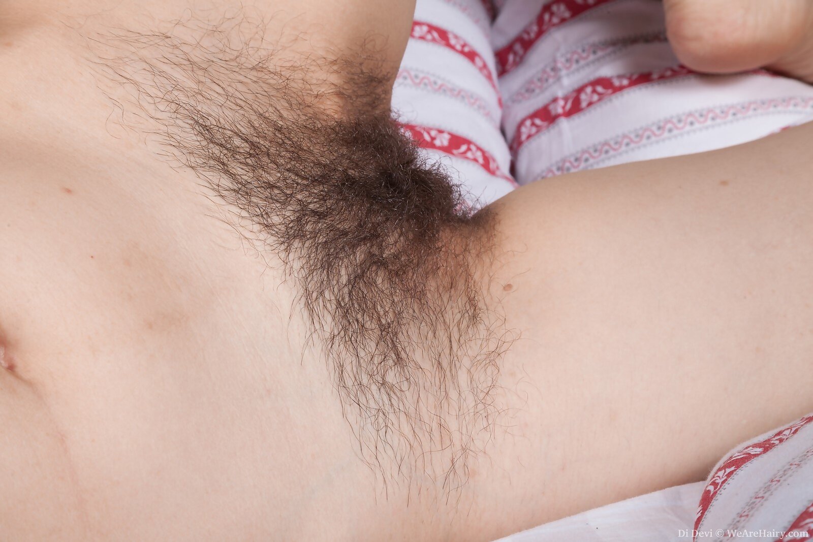 Di Devi from We Are Hairy - Picture #8