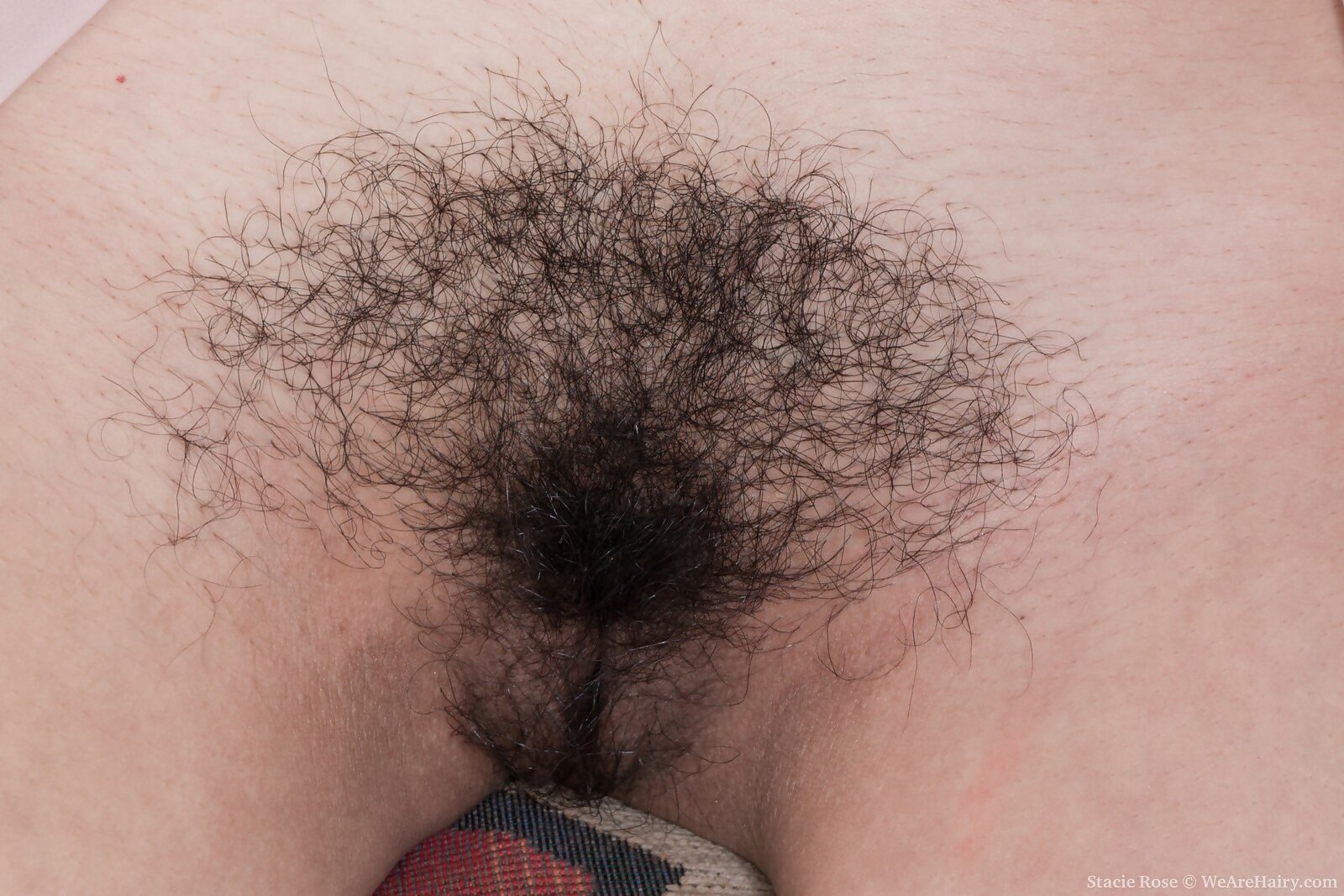 Stacie Rose from We Are Hairy - Picture #6